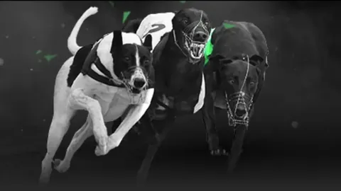 独家视频丨习近平：祝愿大家在哈尔滨留下美好难忘的冰雪记忆.