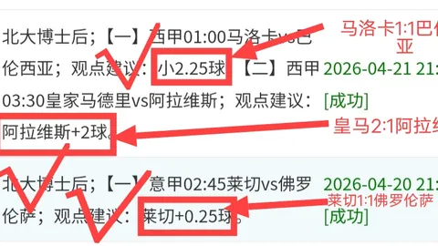 解码23亿人次背后的文化巨变之谜